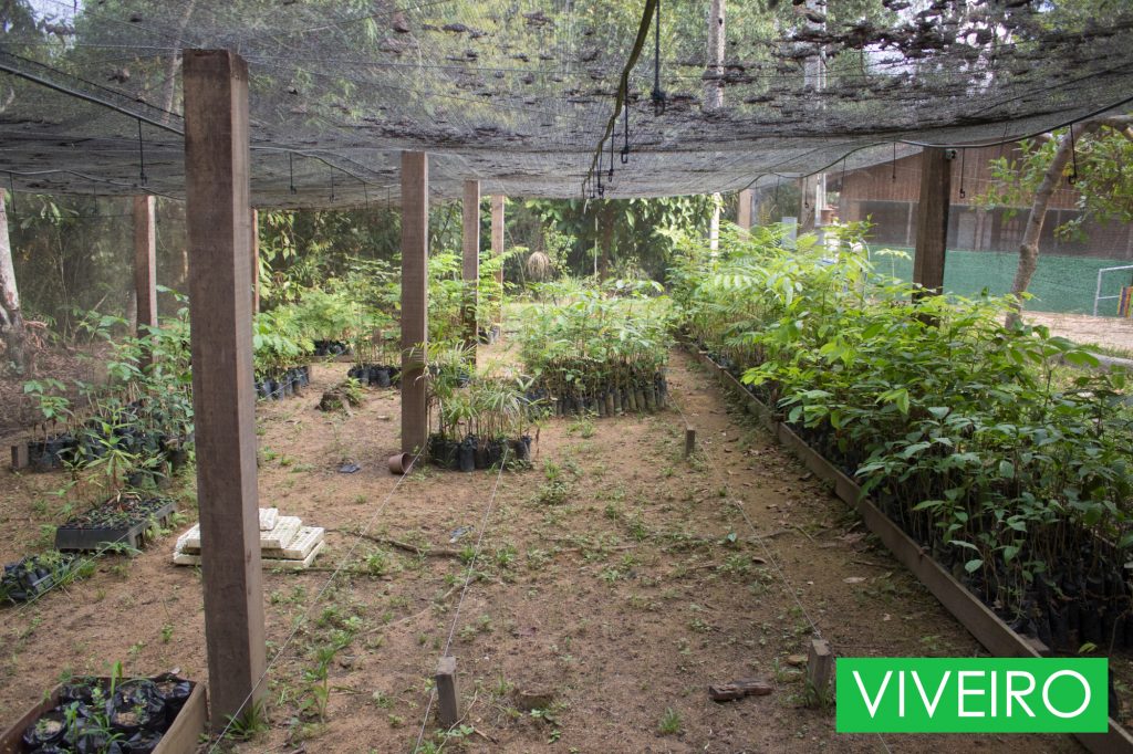 Aluguel do Centro de Cultura e Formação Kanindé em Porto Velho